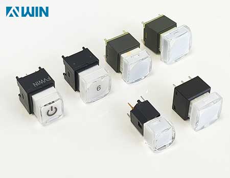 Illuminated push button switches